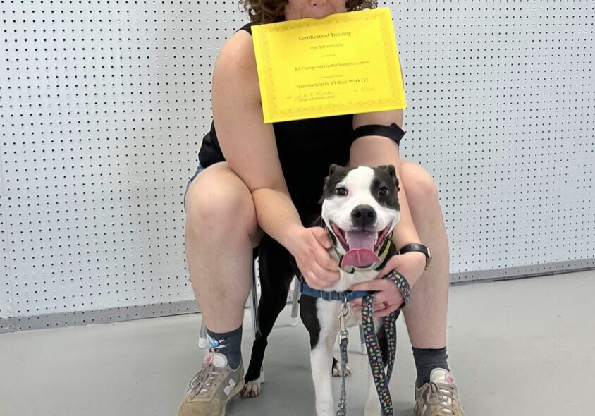 A woman holding a certificate in her mouth and posing with a dog